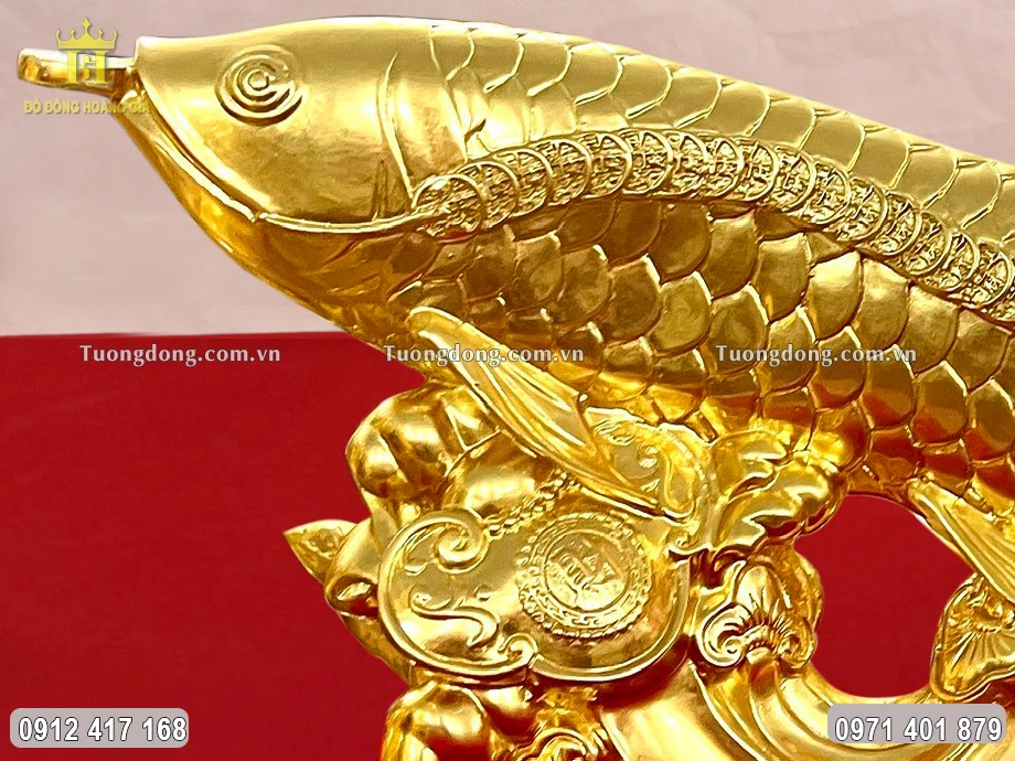 Miệng cá rồng ngậm sâu tiền xu